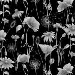 Black Anemone Poppy Floral