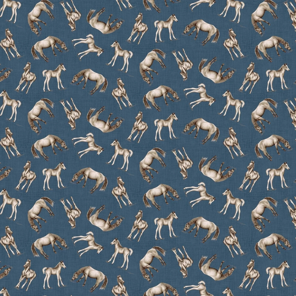 ANIM0112