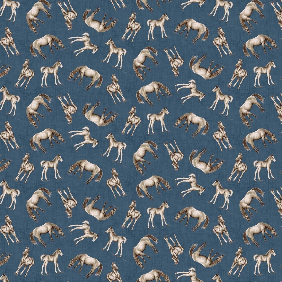 ANIM0112