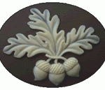 Acorn, Needle minder