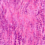 Pink/Purple