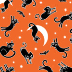 Spooky caton orange