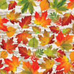 Autumn leaves on white birch
