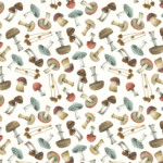 Mushrooms On White