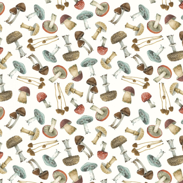 Mushrooms On White