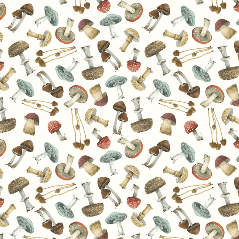 17837-123 Mushrooms on white Mushrooms On White