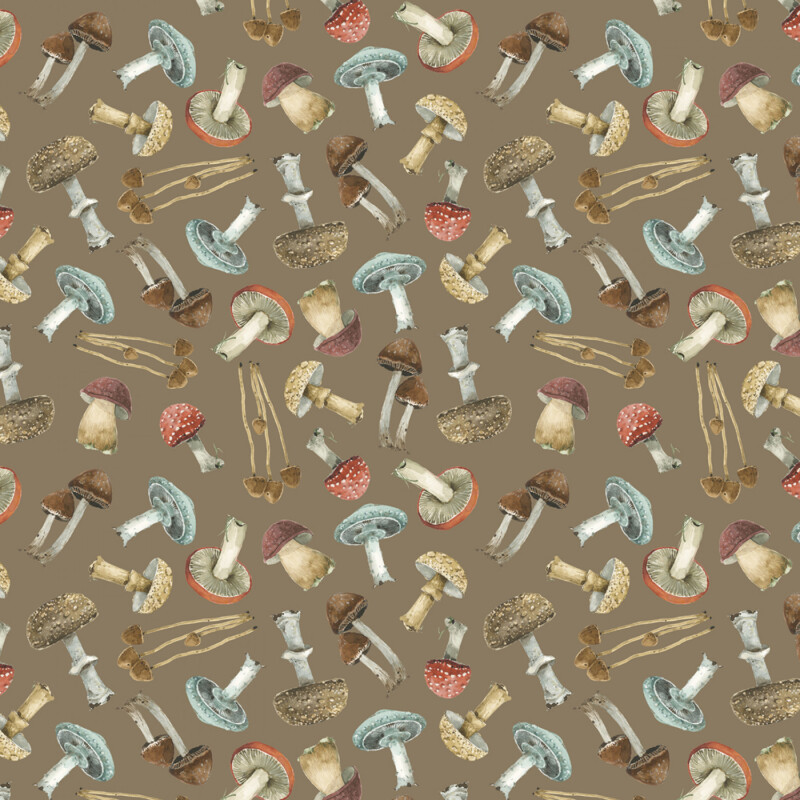 17837-223 Mushorrom on brown Mushrooms On Brown