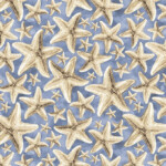 Starfish on blue