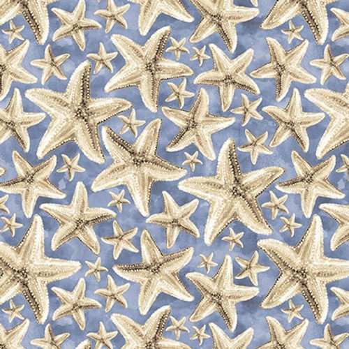 Starfish on blue