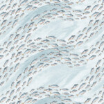 Schooling Fish