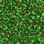 Holly and Mistletoe on green