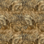 Tree Trunk Whorls