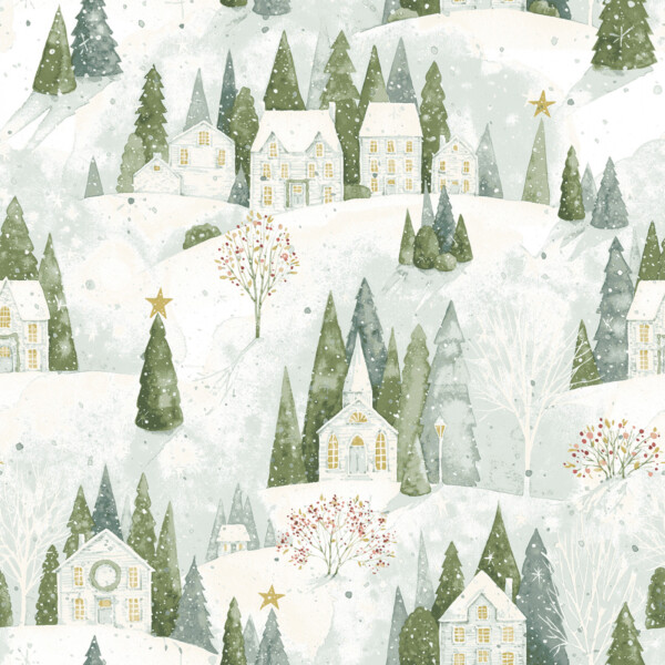 Village Scenes on snow