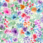 Colorful Bright Flowers