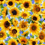 Sunny Sunflower Meadow