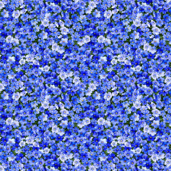 Cobalt Promise Meadow