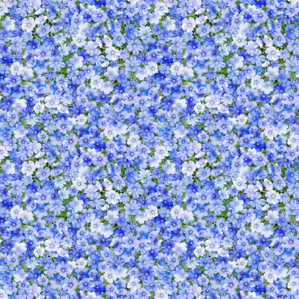 Sky Promise Meadow