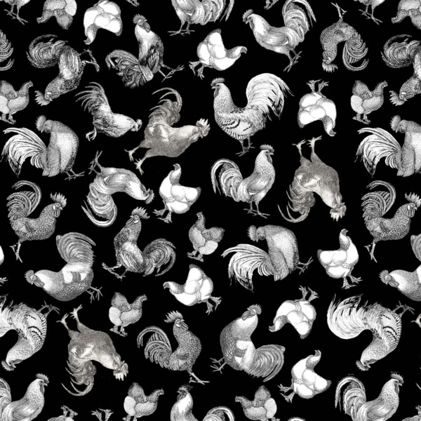 Black and White Roosters and Chickens