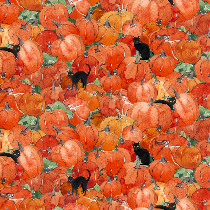Y4159-36 Orange Pumpkins Orange Pumpkins and black cats